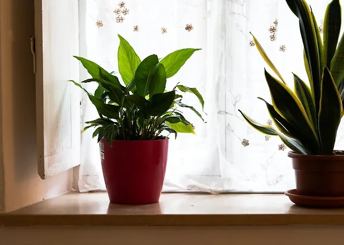 Dimora Indie Apartment *